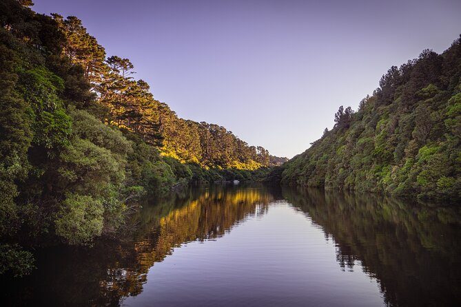 Zealandia - Twilight Guided Eco Wildlife Tour - Cancellation and Refund Policy