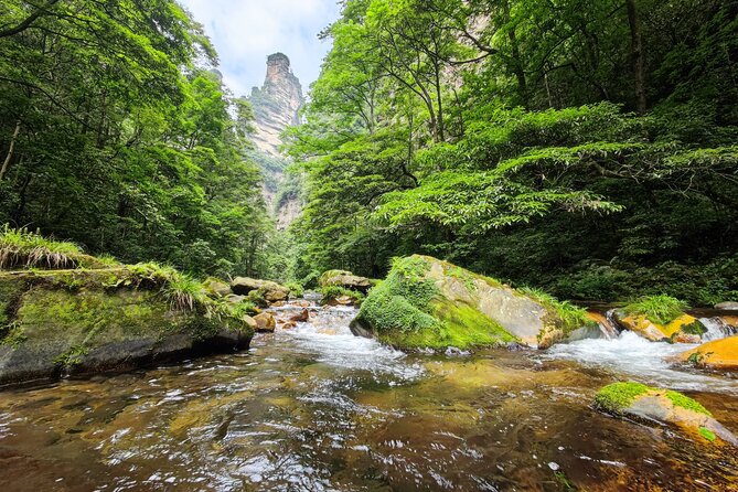 Zhangjiajie National Forest Park Guided Day Tour - Ticket Redemption Location