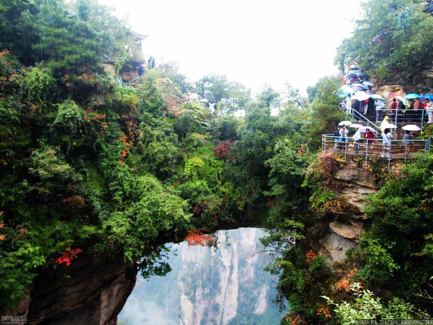 Zhangjiajie National Forest Park: Private Day Tour - Experience Highlights and Locations