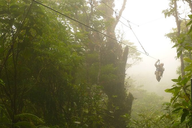 Zipline and Hanging Bridges Combo Tour in Monteverde Cloud Forest - Logistics and Transportation