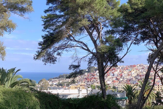 3h Private Walking Tour in Tangier Kasbah Medina & Colorful Souks - Tour Highlights