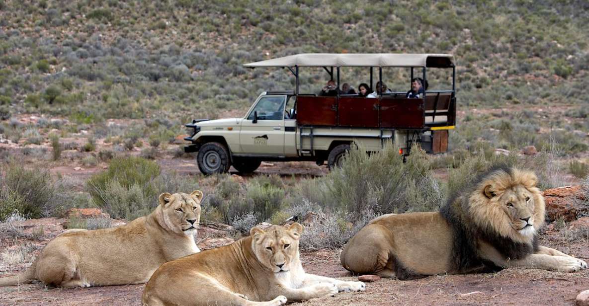 4-Day Private Highlights Tour & Overnight Big5 Aquila Safari - Just The Basics