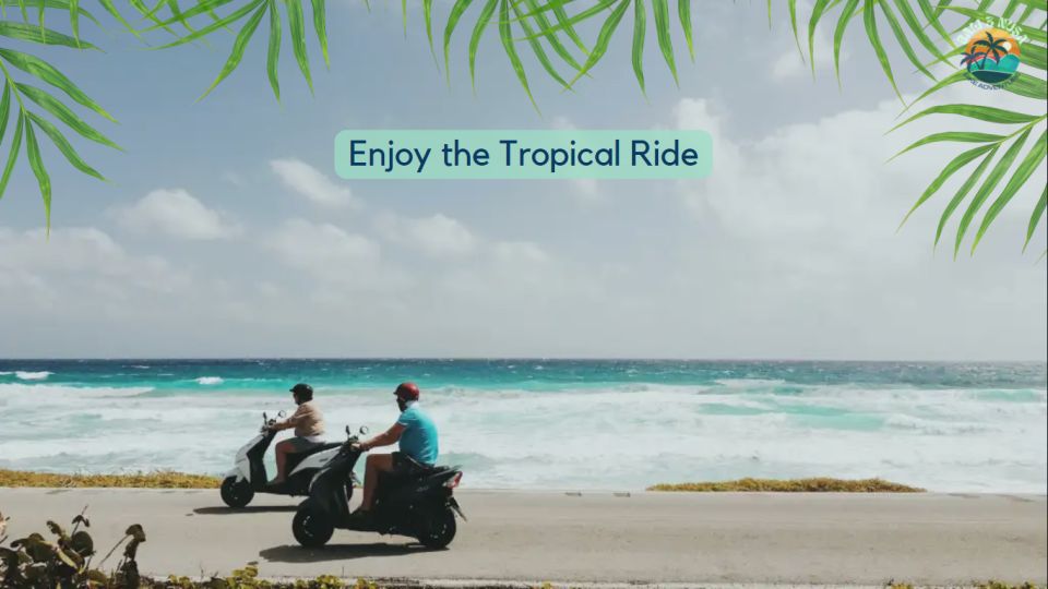 4-Day Private Motorcycle Tour in Nusa Islands - Key Points