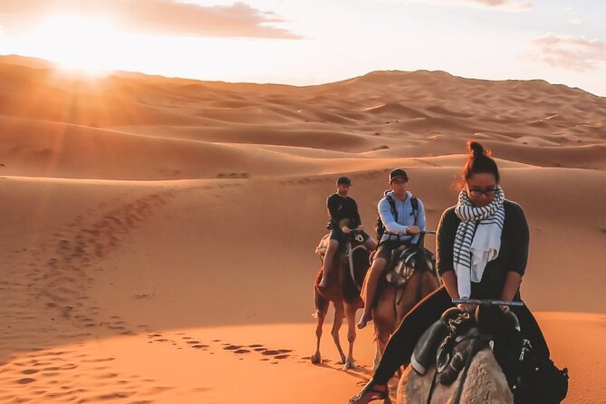 4 Day Smalll Group Desert Tour From Marrakech - Key Points