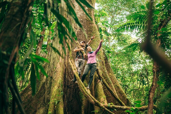 4-Day Tour of Cuyabeno Wildlife Reserve in Ecuador  - Nueva Loja - Key Points