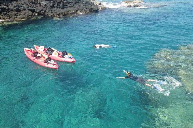4-hour Kailua-Kona Ocean Kayak and Snorkel Tour - Just The Basics