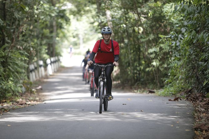 4 Hours Cycling in the Nature at Pulau Ubin Singapore - Key Points