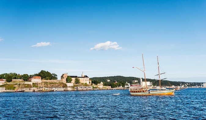 4 Hours Winter View of the Oslofjord Walk Tour - Tour Overview