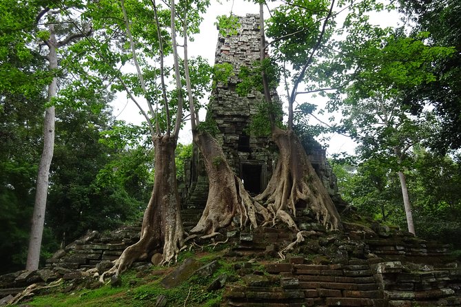 1-Day Amazing Angkor Wat Tour With Sunrise & All Interesting Major Temples - Guide Recommendations and Satisfaction