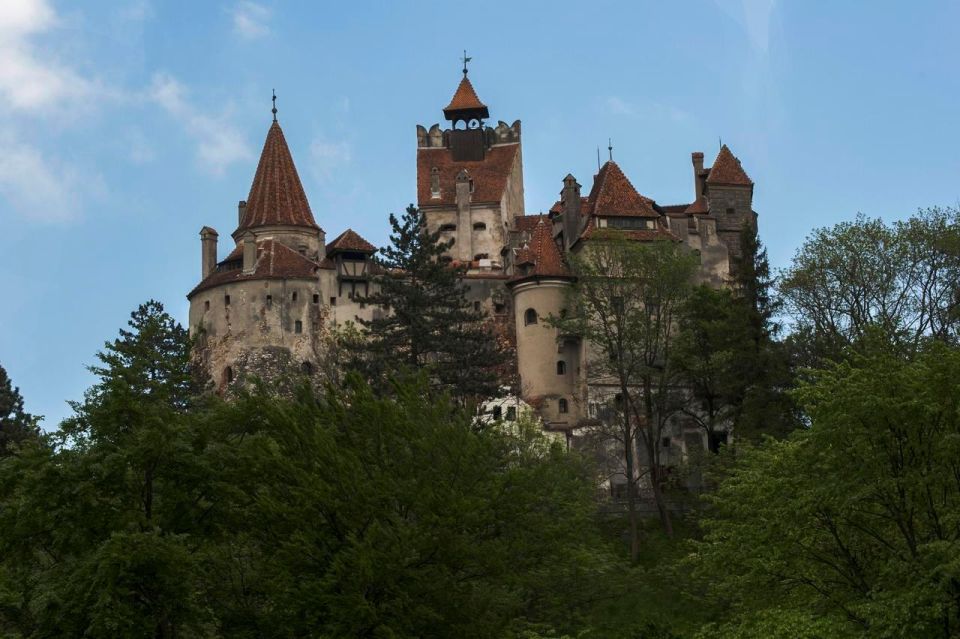 1 Day Castles Tour - Sinaia and Bran - Inclusions and Logistics
