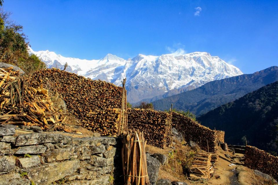 1 Day Dhampus Trek - Itinerary Periods