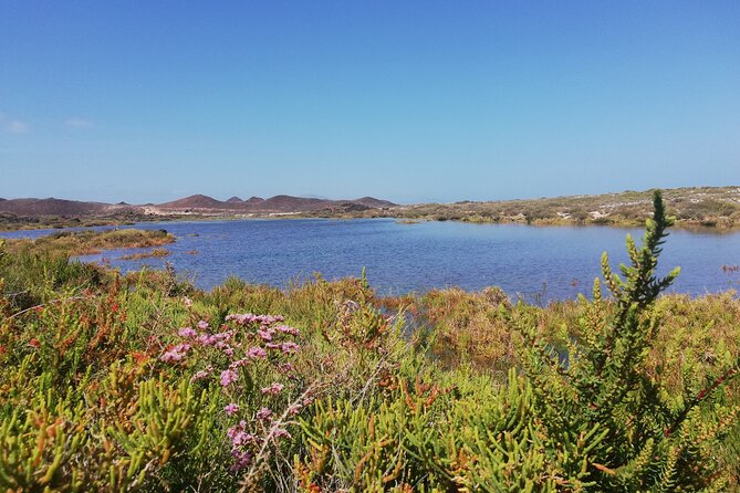 1 Day Hiking Adventure in Isla Lobos - Traveler Limit and Policy