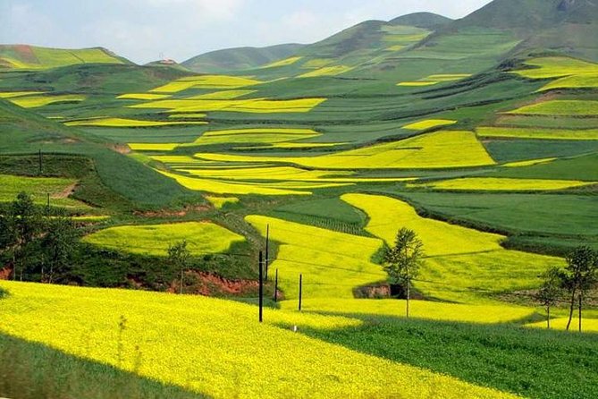 1-Day Longsheng Rice Terrace Tour From Guilin With Private Guide & Driver - Important Notes