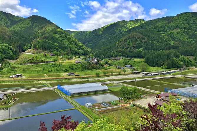 1-Day Rural E-Bike Tour in Hida - Reviews