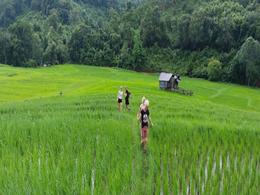 1 Day Thai Mountain Eco Trek - Customer Reviews