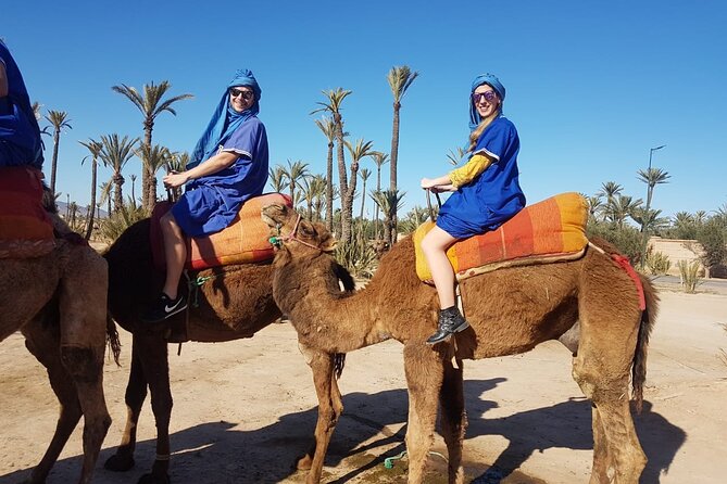 1-Hour Camel Ride and 1-Hour Quad Bike Ride in Marrakech. - Traveler Experience Insights