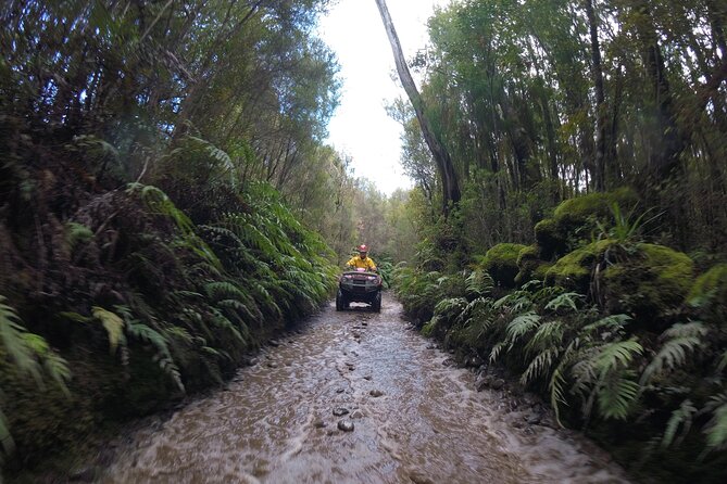 1 Hour Enchanted Forest Track - QUADS - Booking Information