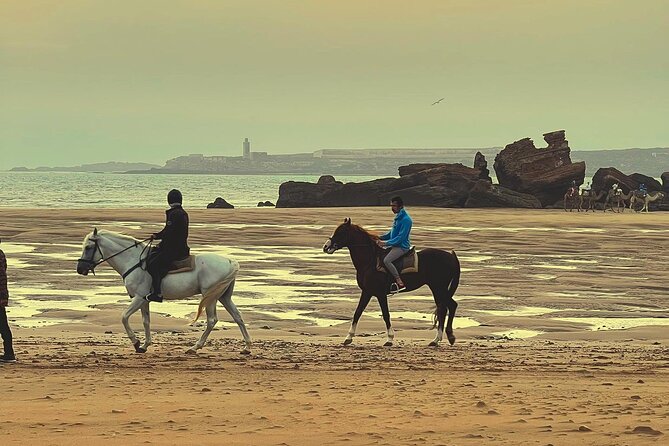 1 Hour Horse Ride on the Beach of Essaouira - Expectations and Requirements