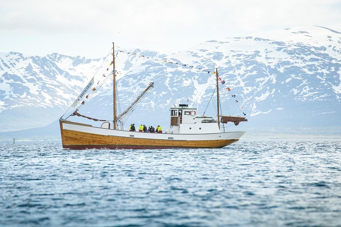 1 Hour Photo & History Cruise - Boat Name and Features