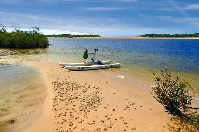 1 Hour Self Guided Water Bike Tour of the Noosa River - Reviews and Ratings