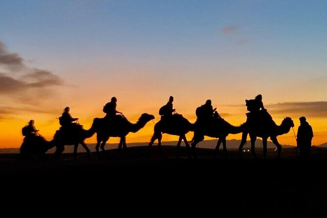 1 Night Camel Trekking in Merzouga - Reviews