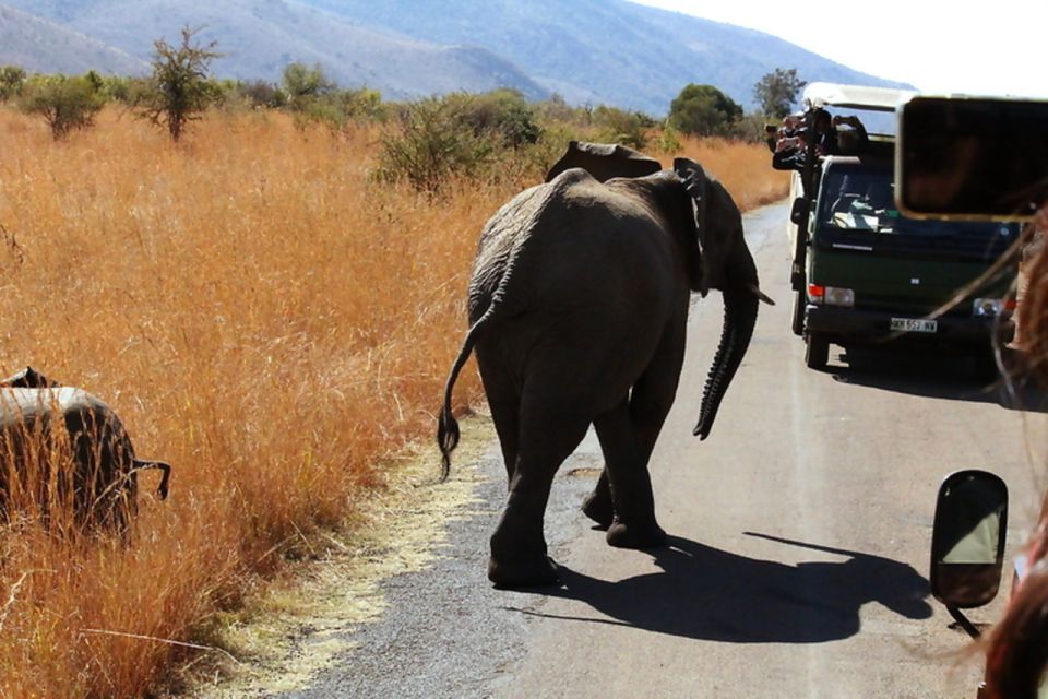 10 Days Overland Tour-Johannesburg and Cape Town - Inclusions