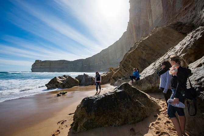 12 Apostles Great Ocean Road Eco Tour With Lunch From Melbourne - Guest Feedback and Suggestions