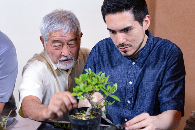 1Day-Bonsai & Sencha Tea Experience: Pastime of the Literati - Sencha Tea Tasting