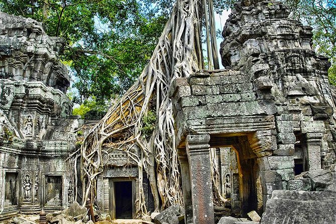 2-Day Angkor Wat, Ta Prohm, Bayon Temples & Tonle Sap Lake Tour - Experience at Tonlé Sap Lake