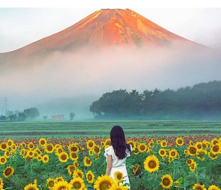 2-Day Private Tokyo MT Fuji and Hakone Tour With Guide - Inclusions and Amenities