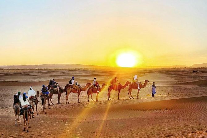 2 Days 1 Night Amazing Zagora Desert Tour From Marrakech - Negative Reviews