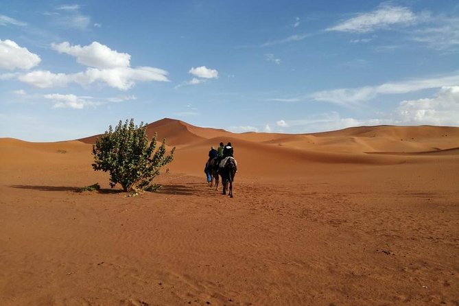 2 Days Fes Desert Trip Overnight Erg Chebbi End up Fes/Marrakech - Unforgettable Tour Highlights