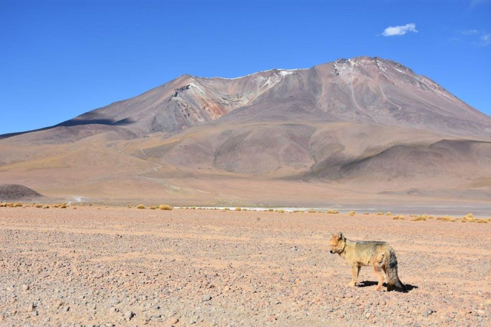 2-Days Round-Trip From Chile to Uyuni Salt Flats - Overnight Stay and Meals