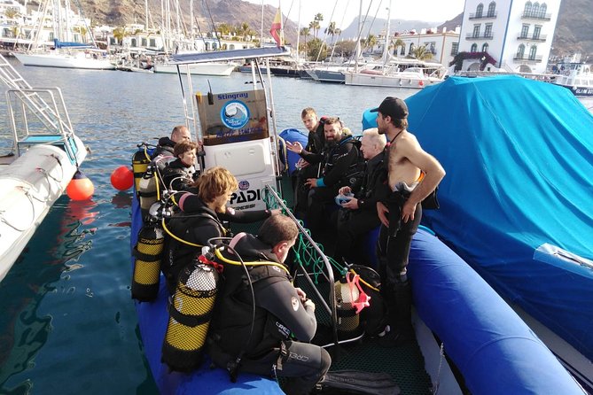 2 Dive Package for PADI Qualified Divers in Gran Canaria - Requirements and Policies