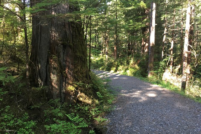 2 Hour Alaska Rainforest Walk and Totem Park Small Group Tour - Customer Satisfaction