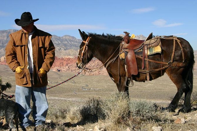 2-Hour Horseback Riding Through Red Rock Canyon - Cancellation Policy