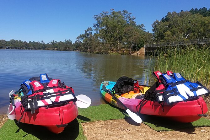 2-Hour Kayaking Experience in Barossa Valley - Maximum Group Size