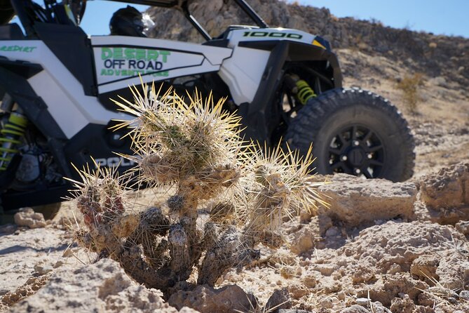 2 Hour Las Vegas Desert Off Road Adventure - Restrictions and Requirements
