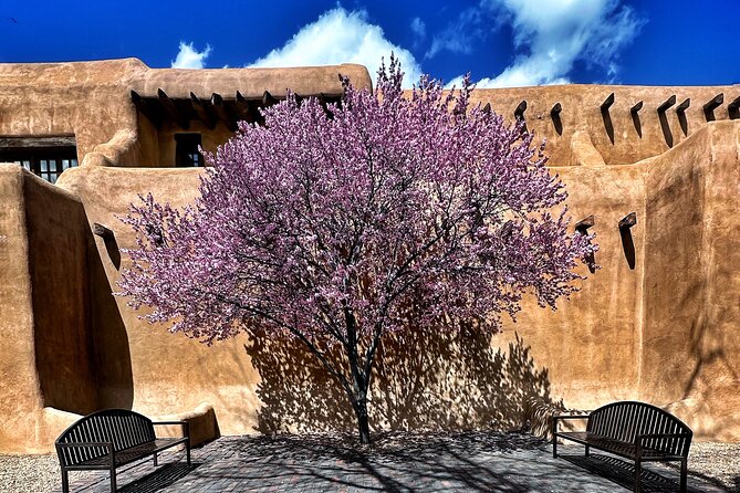 2-Hour Photography Class While Touring Downtown Santa Fe, Smart Phones Welcome! - Instructor Expertise and Insights
