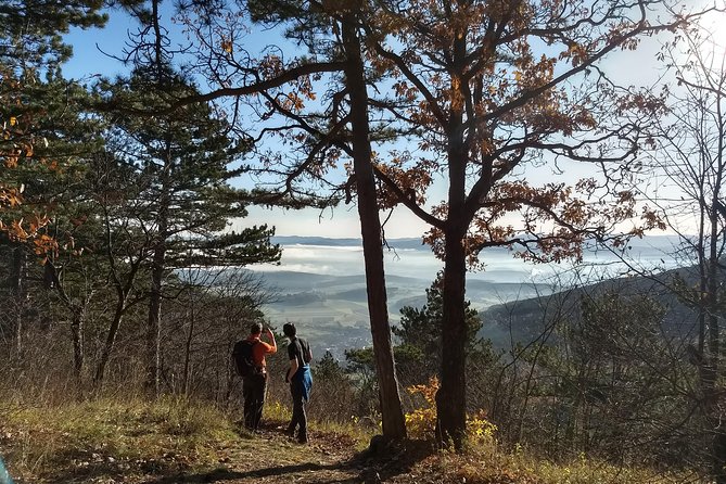 2 Hour Private Alpine Hiking, Gosing Mountain Vienna Tour - Recommended Gear and Attire