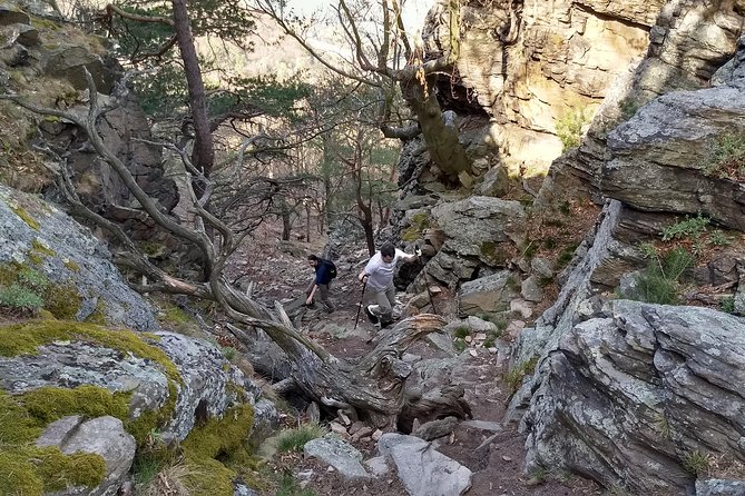 2-Hour Private Alpine Hiking Tour on Seekopf Mountain, Wachau Valley From Vienna - Additional Information