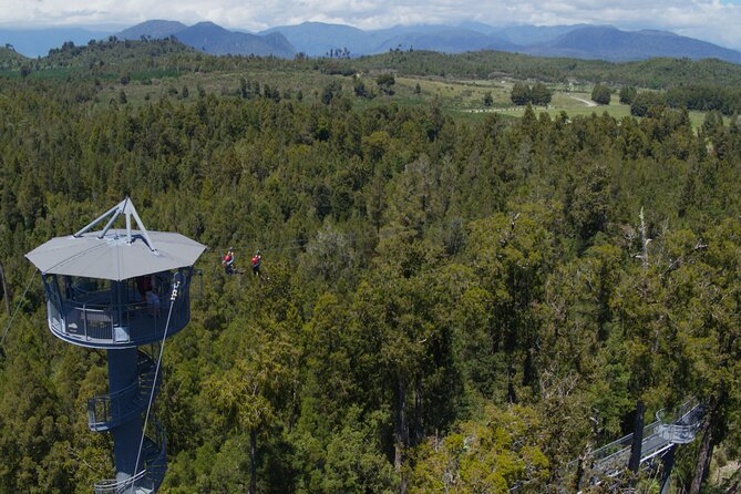 2-Hour Tower Zipline and Walkway Combo Private Guided Activity - Reviews and Ratings