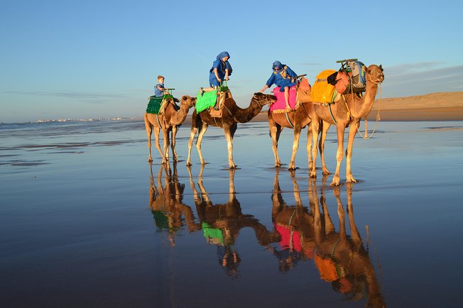 2-Hour Walks to Discover Essaouira - Route and Locations
