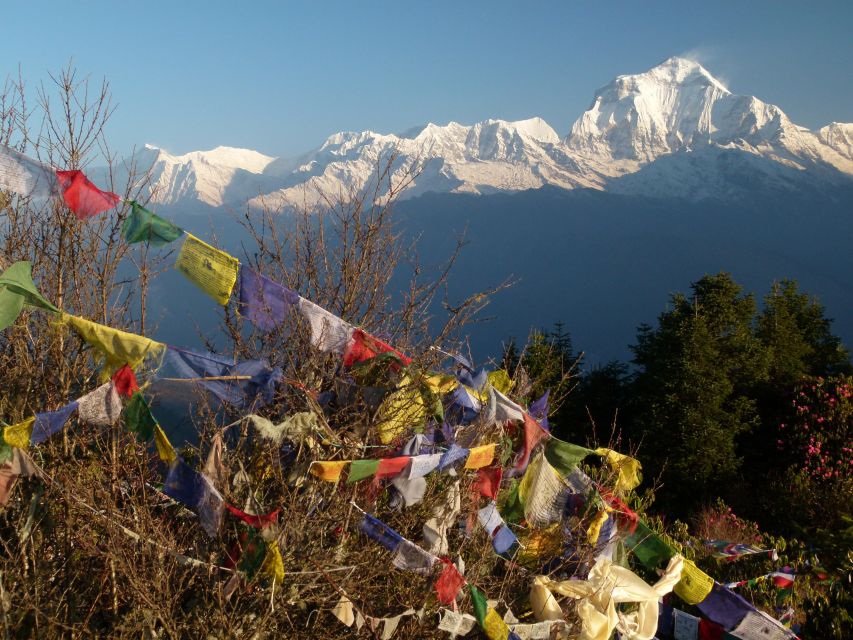 2 Night Ghorepani Poon Hill Trek From Pokhara - Common questions