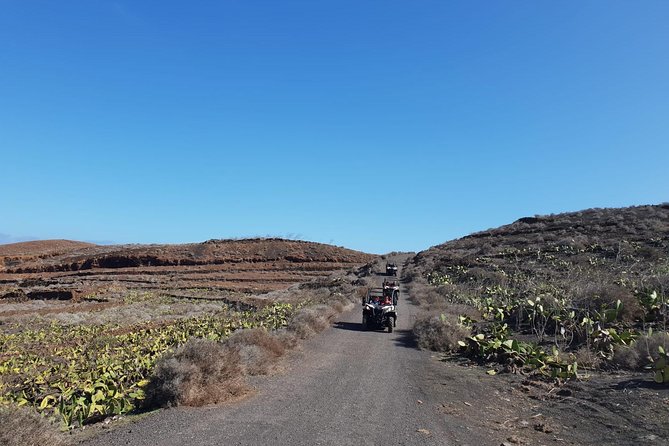 2h Buggy Tour Guided by the North of Lanzarote - Tour Inclusions