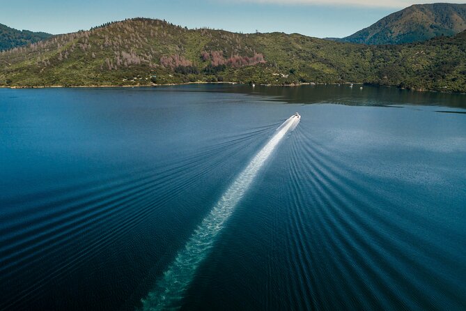 3.5 Hour Marlborough Sounds Delivery Cruise - Excursion Details