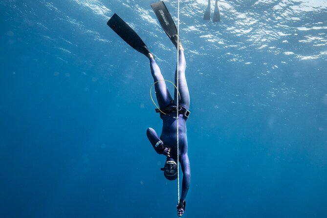 3-Day Freediving Level 1 Course - Learning Objectives Highlighted