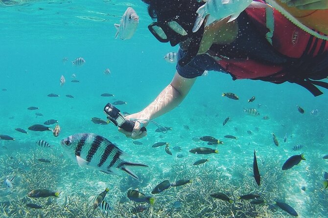 3 Days and 2 Nights Tioman Tour Package From Singapore - Common questions