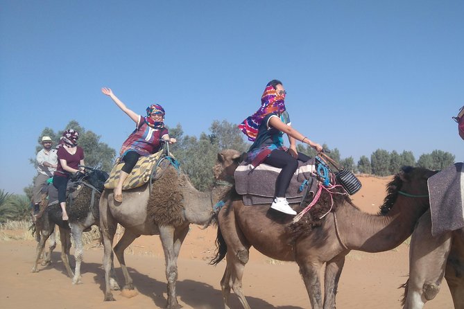 3 Days Desert Tour From Fez to Marrakesh via Merzouga Erg Chebbi - Last Words