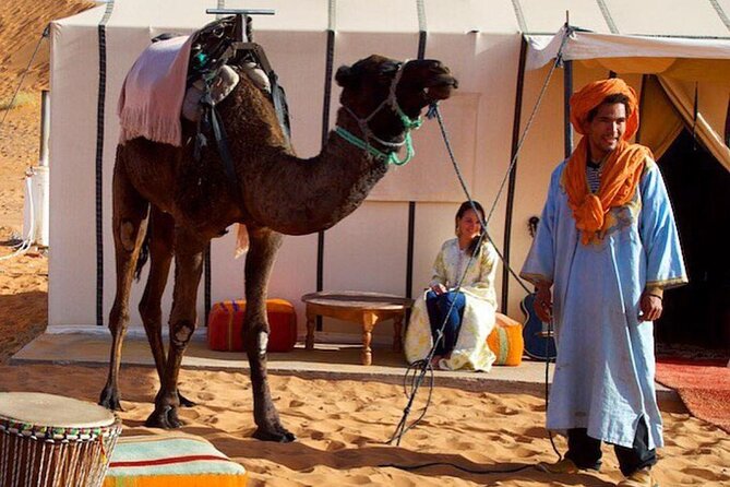 3 Days Desert Tour From Marrakech To Merzouga Dunes & Camel Trek - Last Words